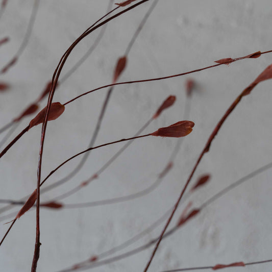 Timeless Garden Red Decorative Artificial Flower | Plant