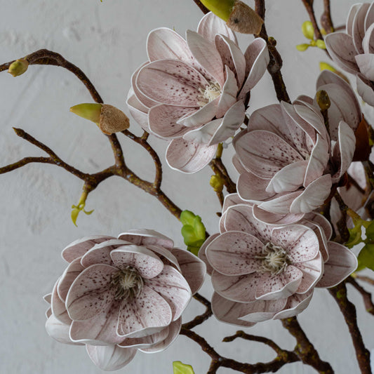 Synthetic Spout Beige (Walnut) - Magnolia Artificial Flower