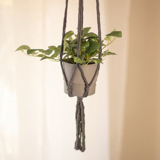 Flourish Plant Hanger in Greys
